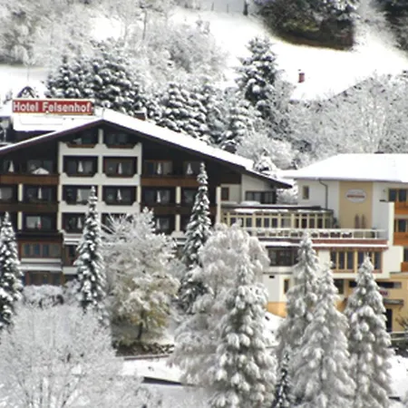 Wohlfuehl & Genusshotel Felsenhof 바트키르히하임