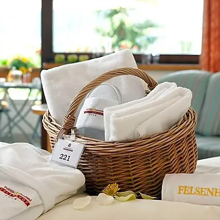 Hotel Wohlfuehl & Genusshotel Felsenhof 4*