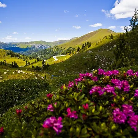 Hotel Wohlfuehl & Genusshotel Felsenhof