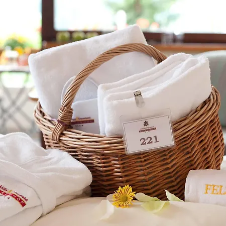 호텔 Wohlfuehl & Genusshotel Felsenhof 4*