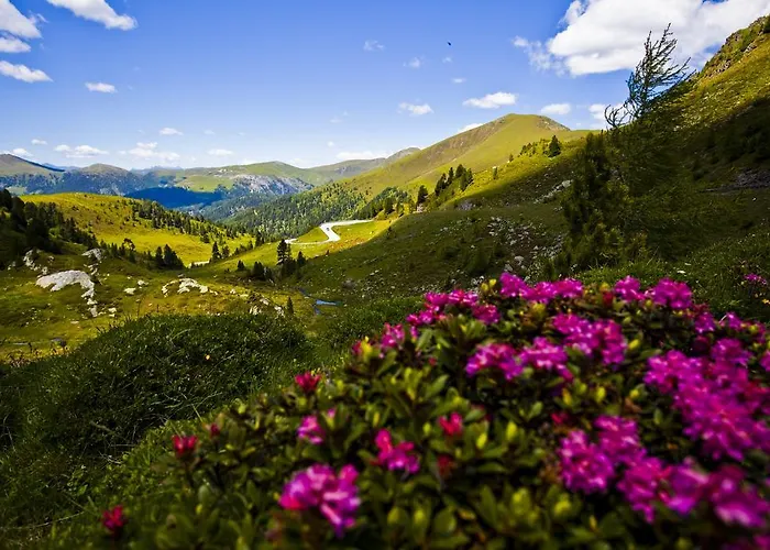 Готель Wohlfuehl & Genusshotel Felsenhof