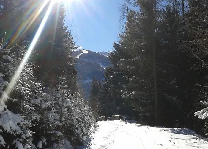 Wohlfuehl & Genusshotel Felsenhof Бад-Кляйнкірхгайм